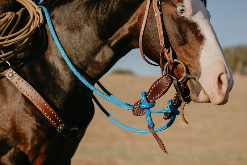 Headstalls