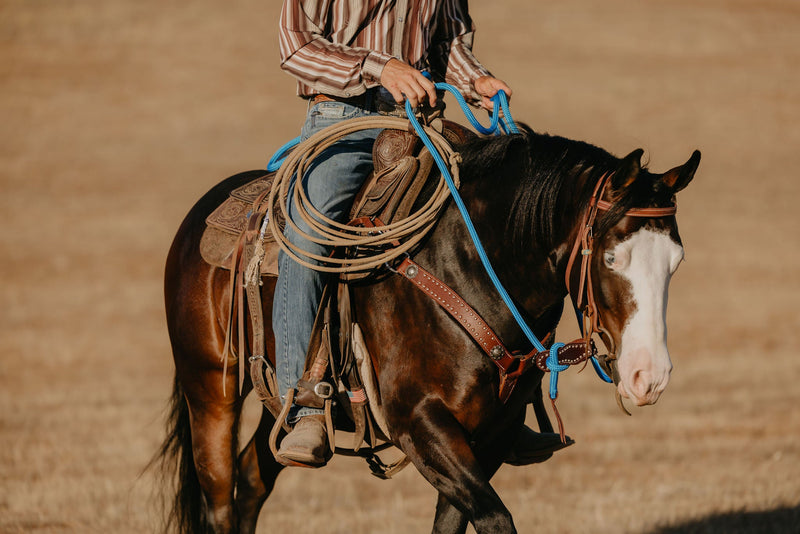 Reins
