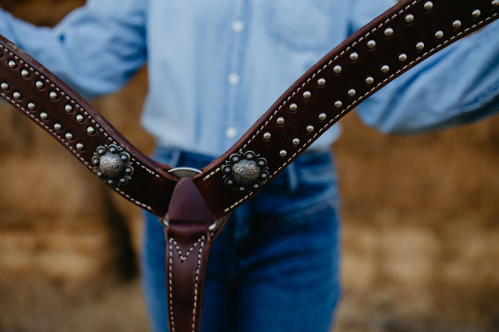 Chocolate Dotted Breast Collar