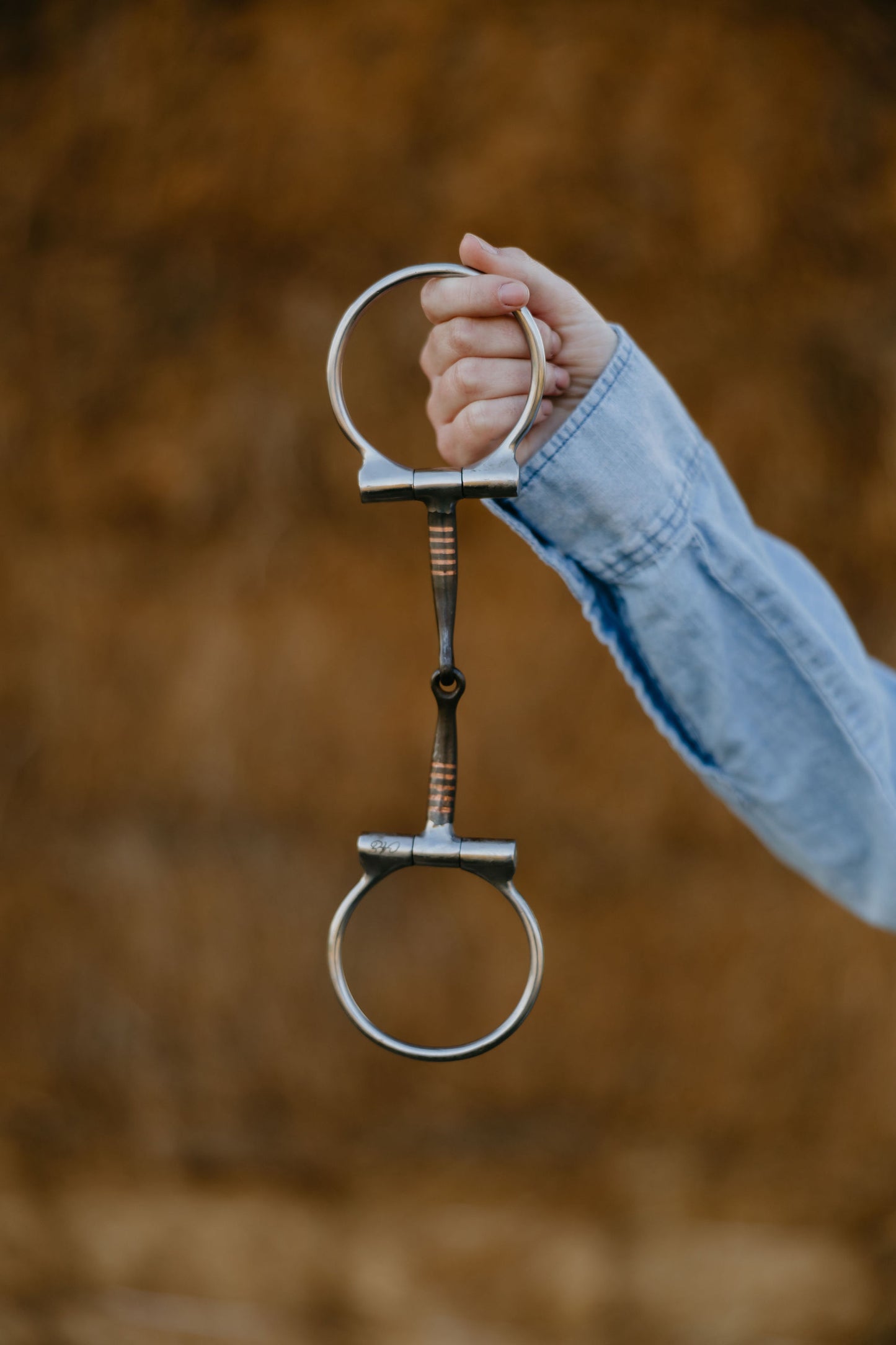 Smooth Dee Snaffle, detail 2