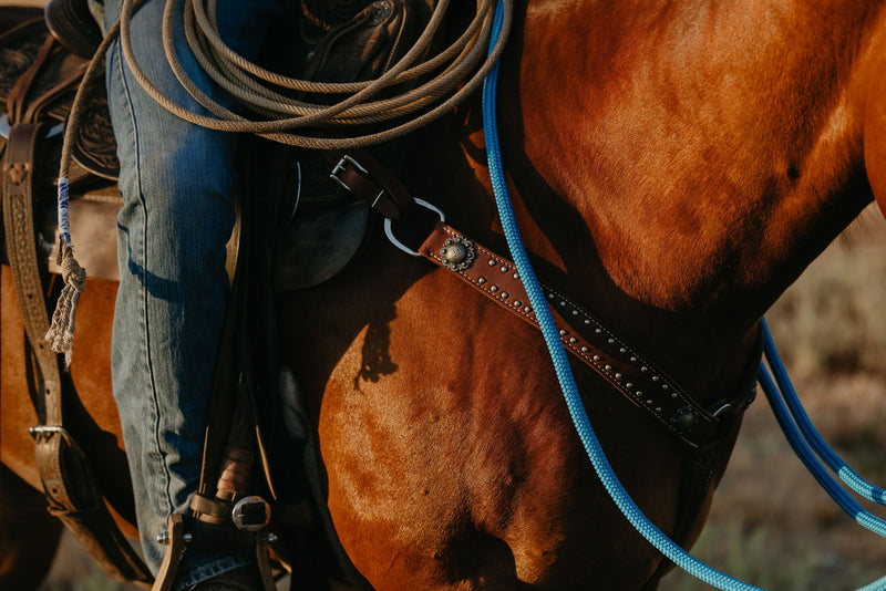 Straps