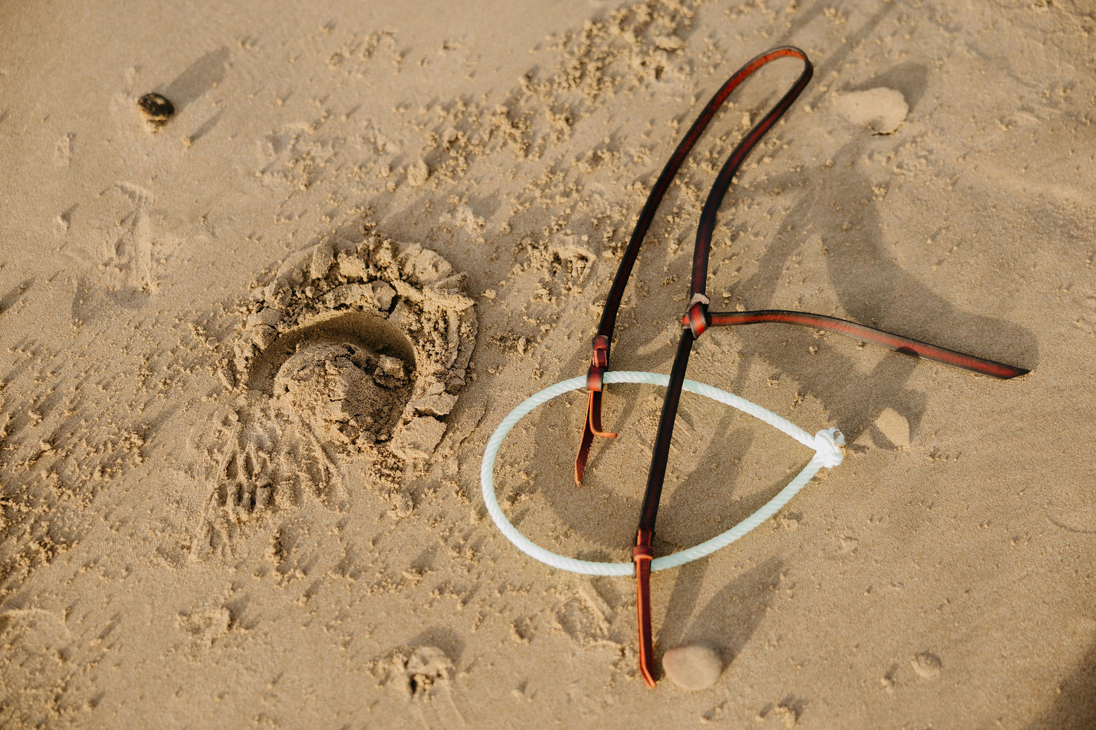 Loping Hackamore, detail 3