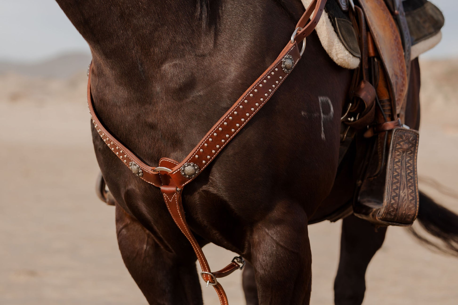 Chocolate Dotted Breast Collar, detail 3