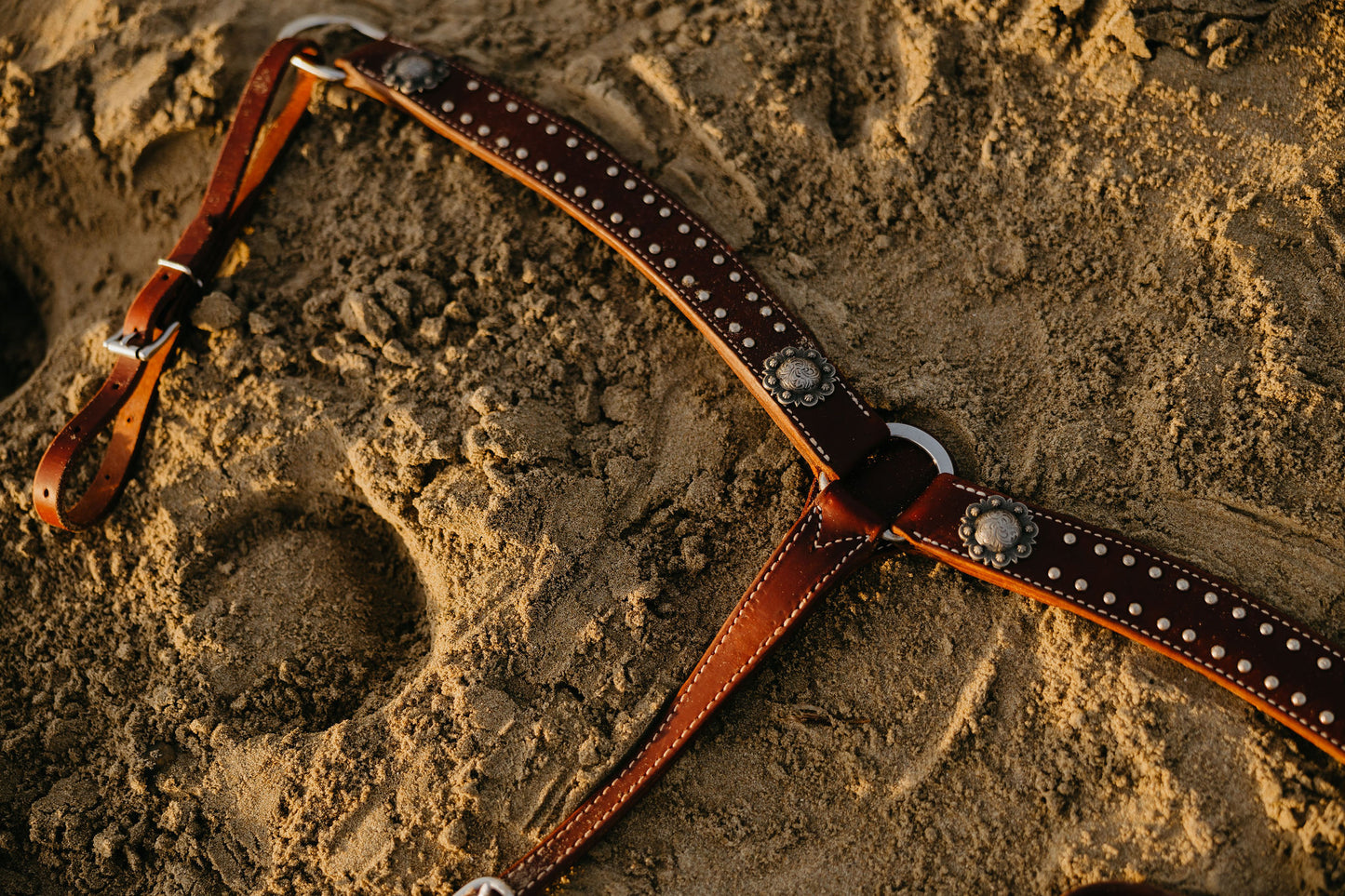 Chocolate Dotted Breast Collar, detail 2