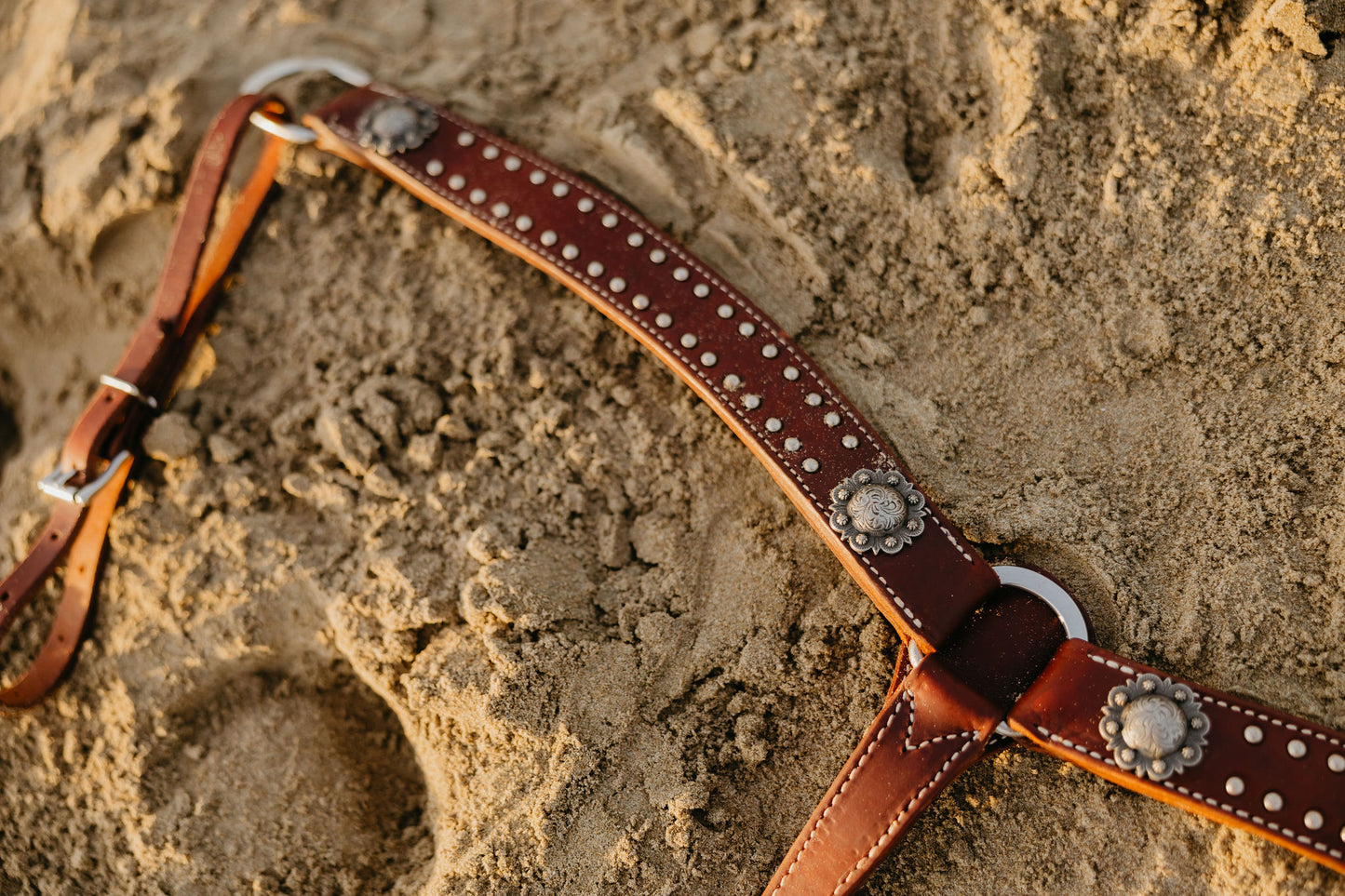 Chocolate Dotted Breast Collar, detail 4
