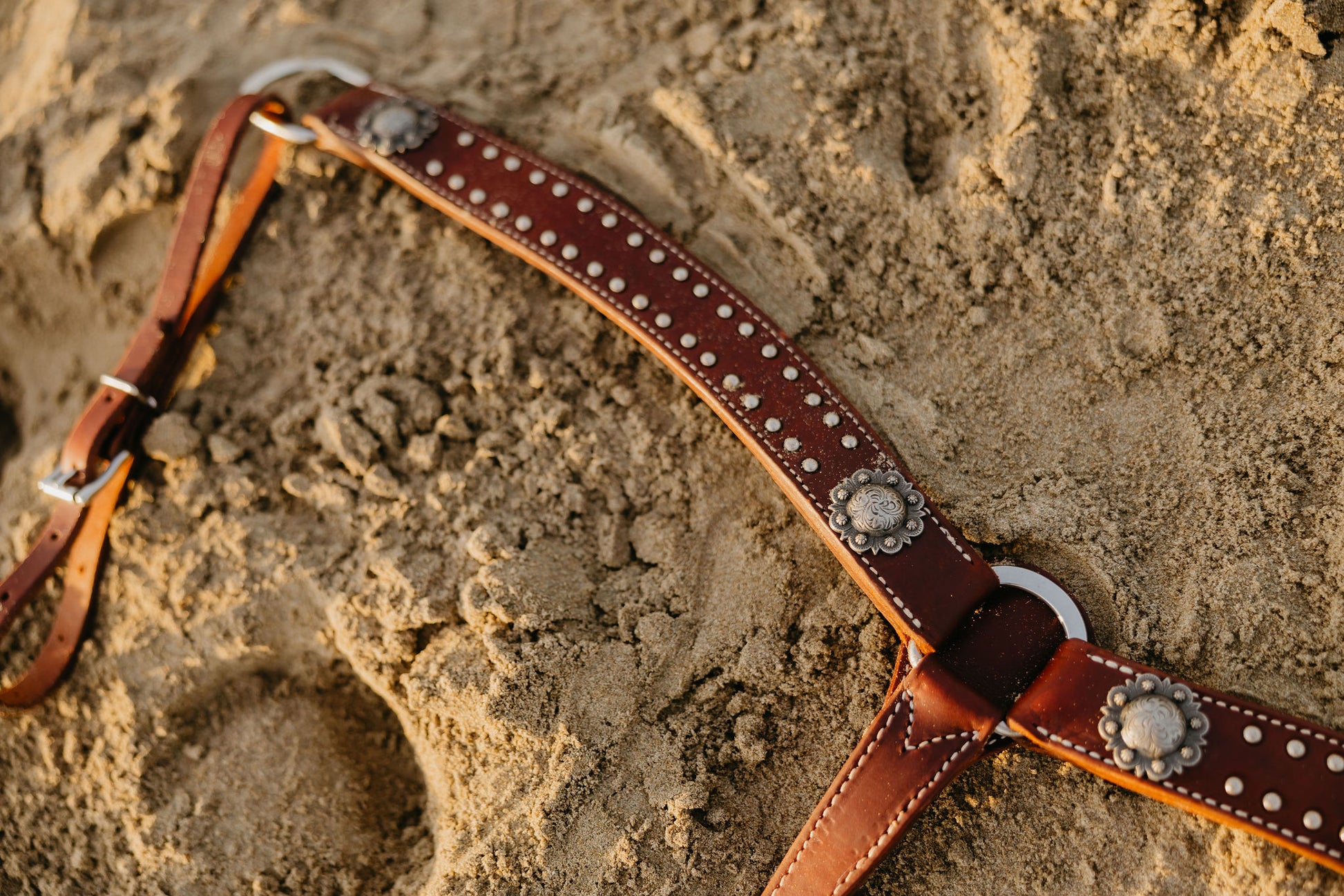 Chocolate Dotted Breast Collar, detail 4