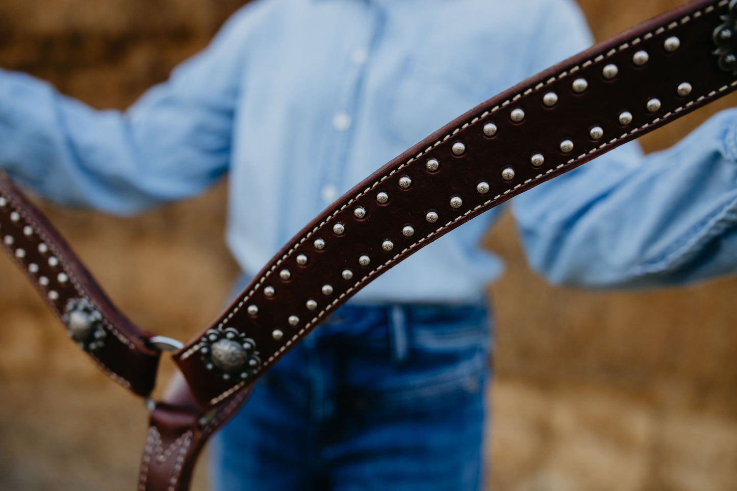 Chocolate Dotted Breast Collar, detail 8