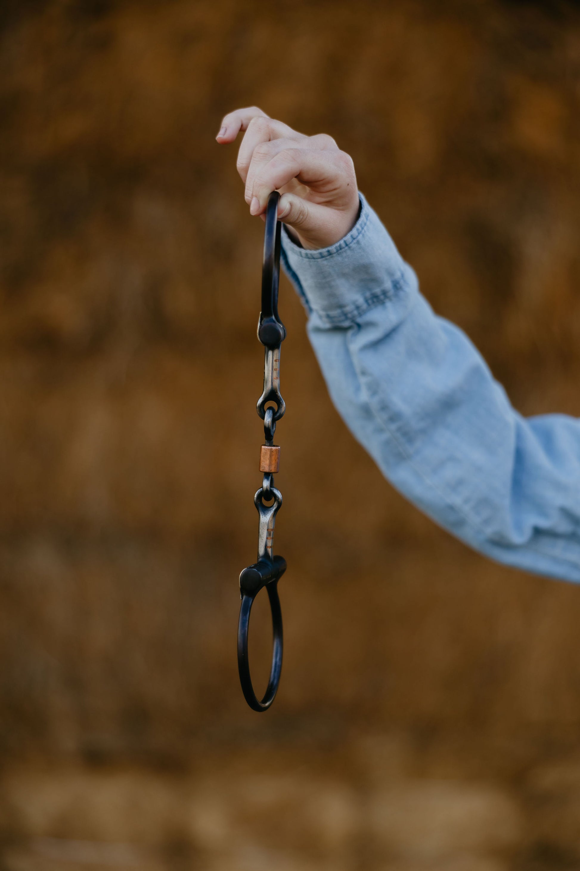 Silver Mounted Dogbone Dee Snaffle, detail 1