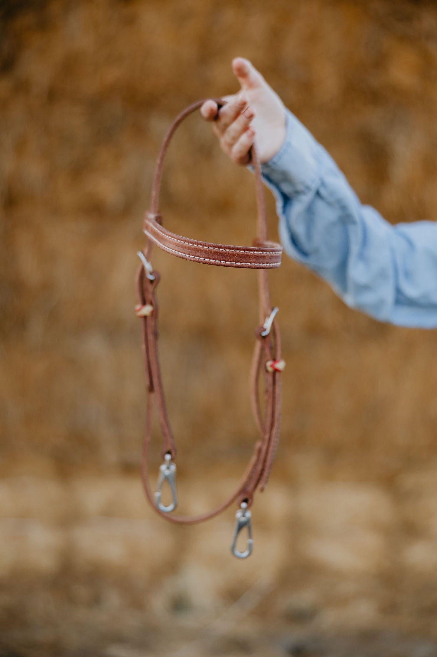 Quick Change Browband Headstall — Red, detail 2
