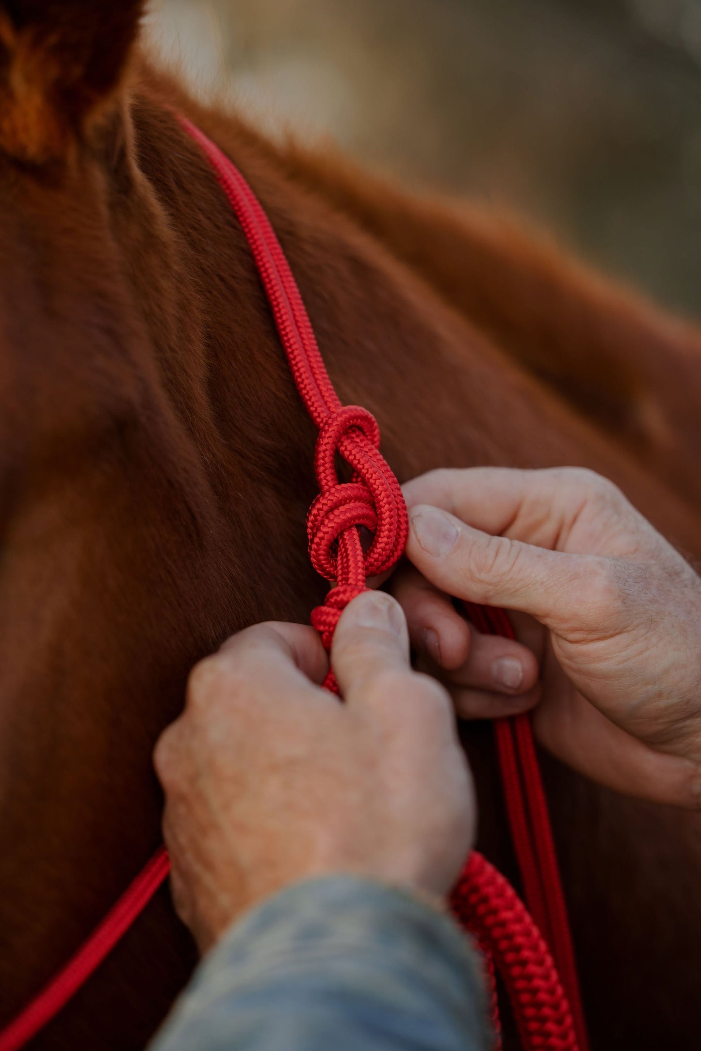 Hand-spliced knot on the lead rope.