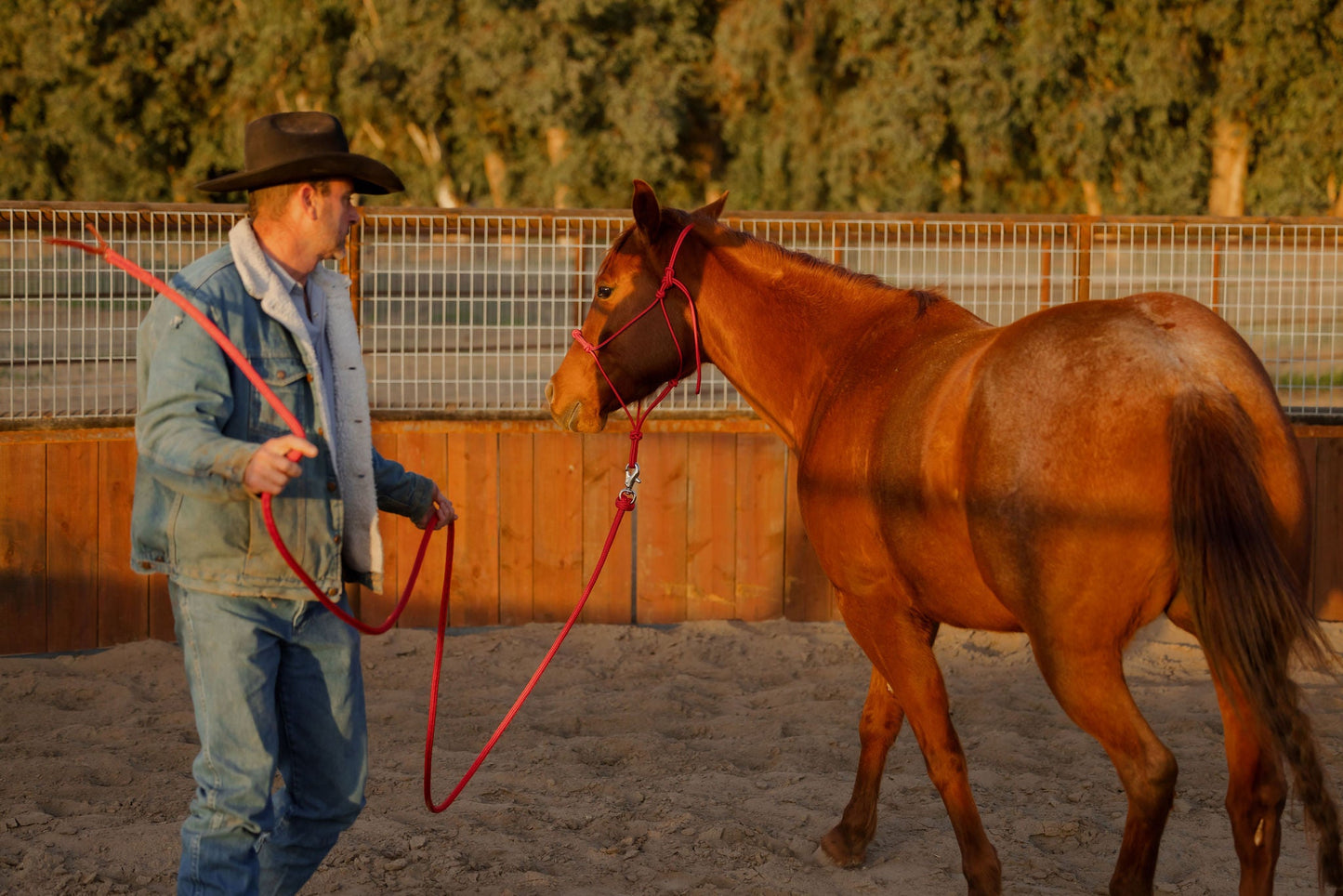 Horse led on the weighted lead rope.