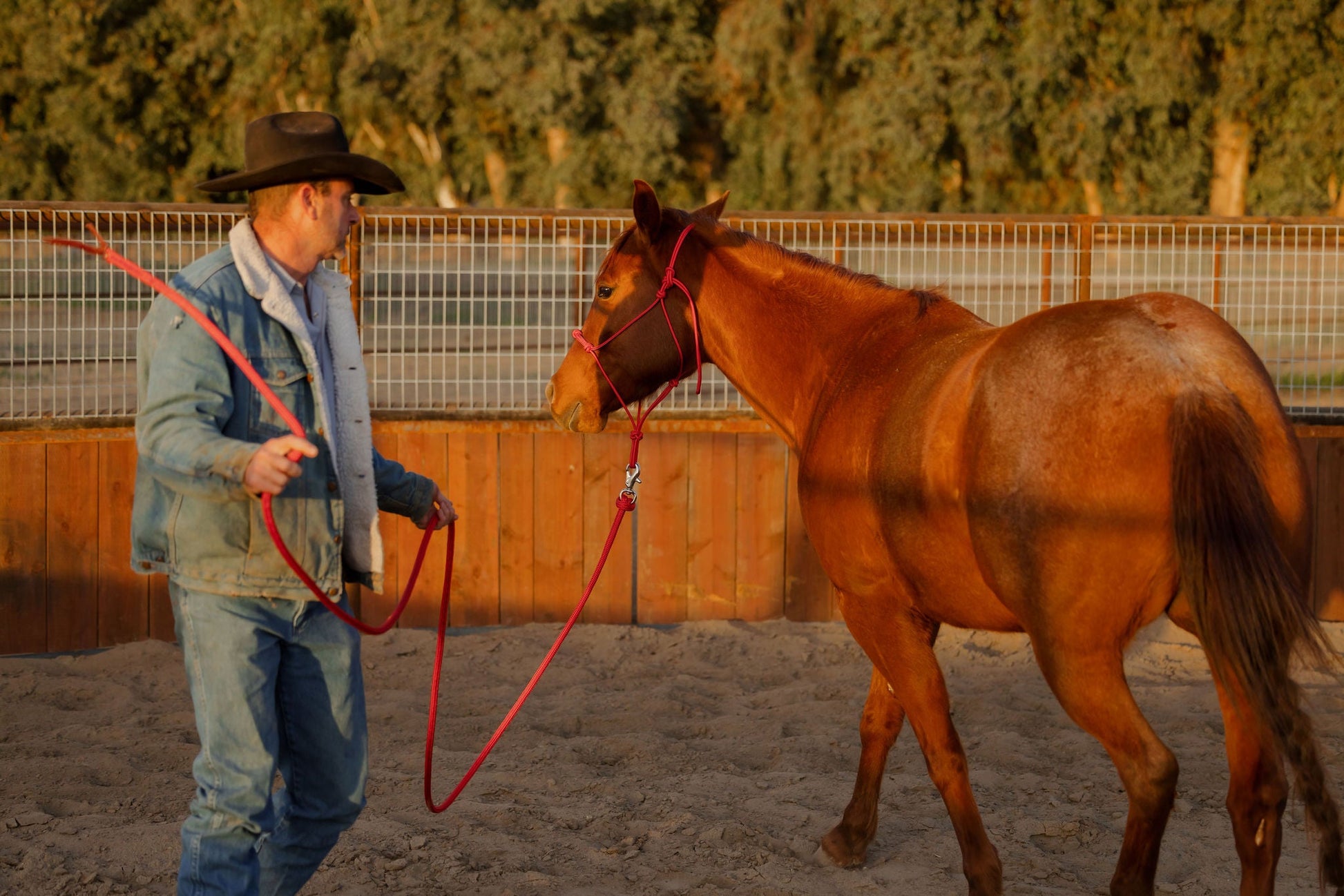 Horse led on the weighted lead rope.