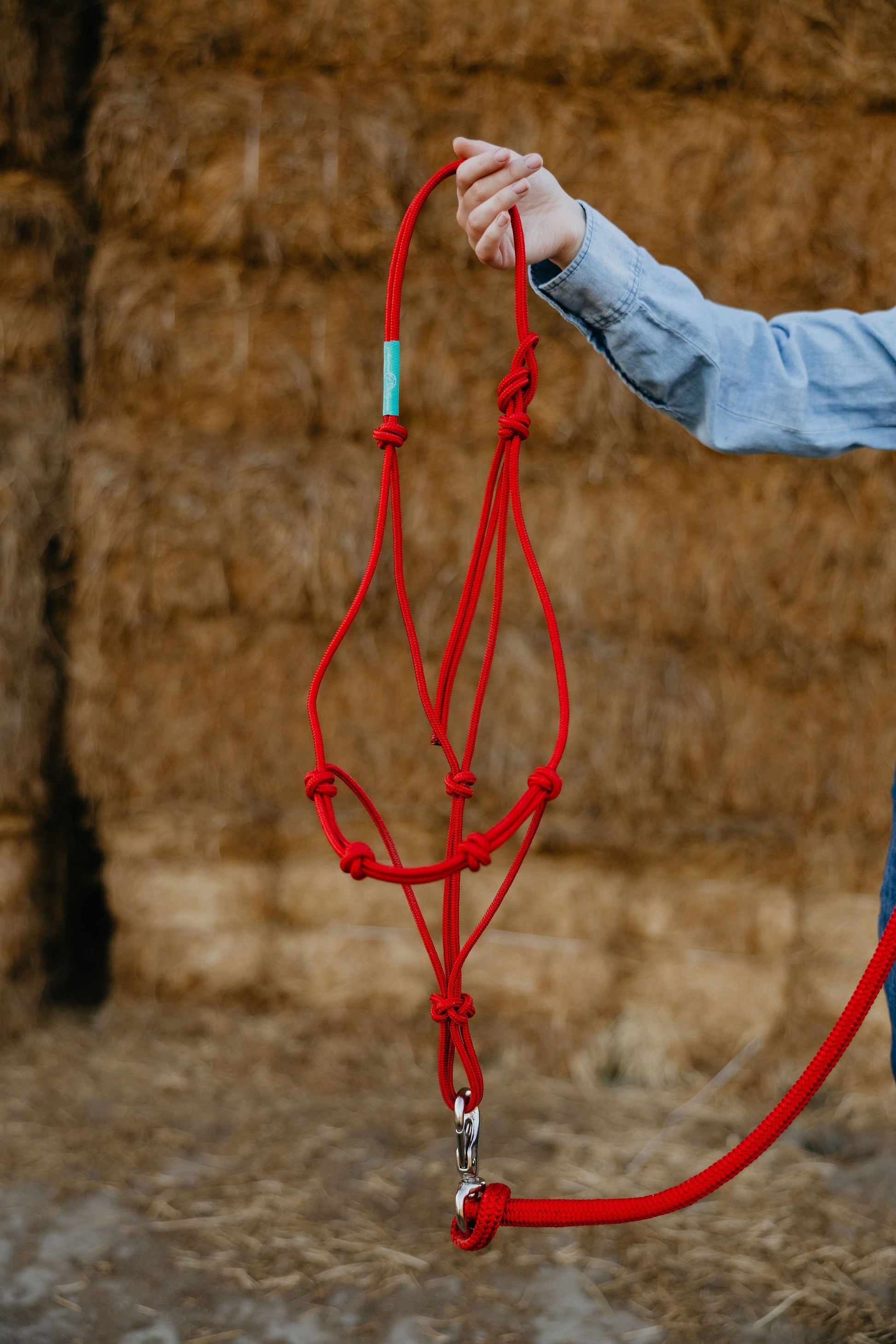 Training halter held open, showing the crown and throat.