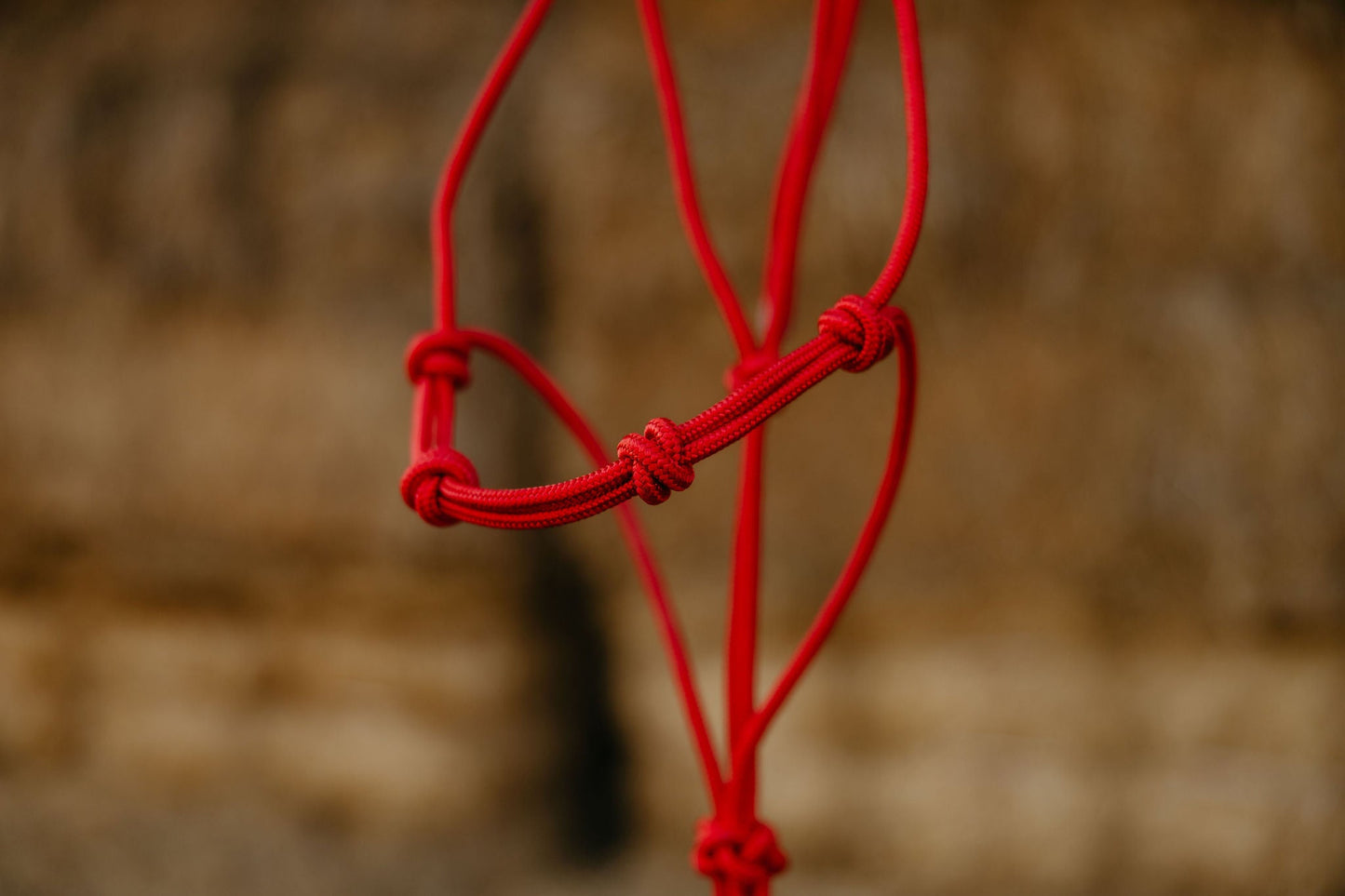 Four-knot training halter, hung full length.