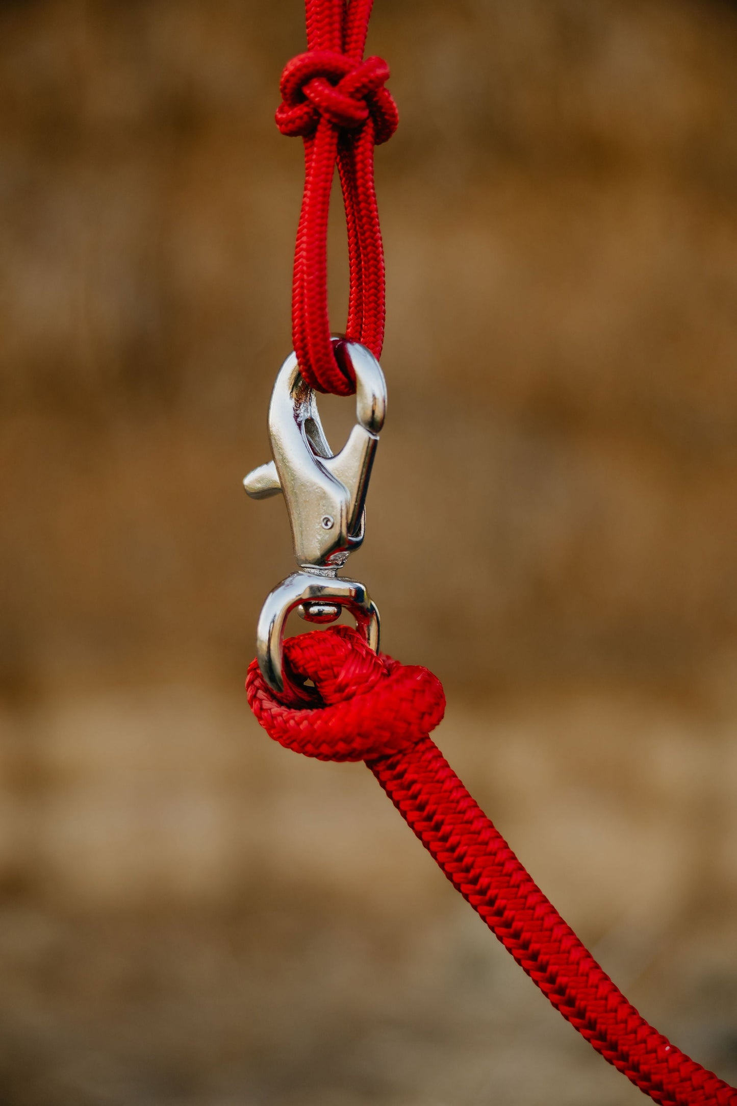 Snap and rope splice at the lead rope's end.