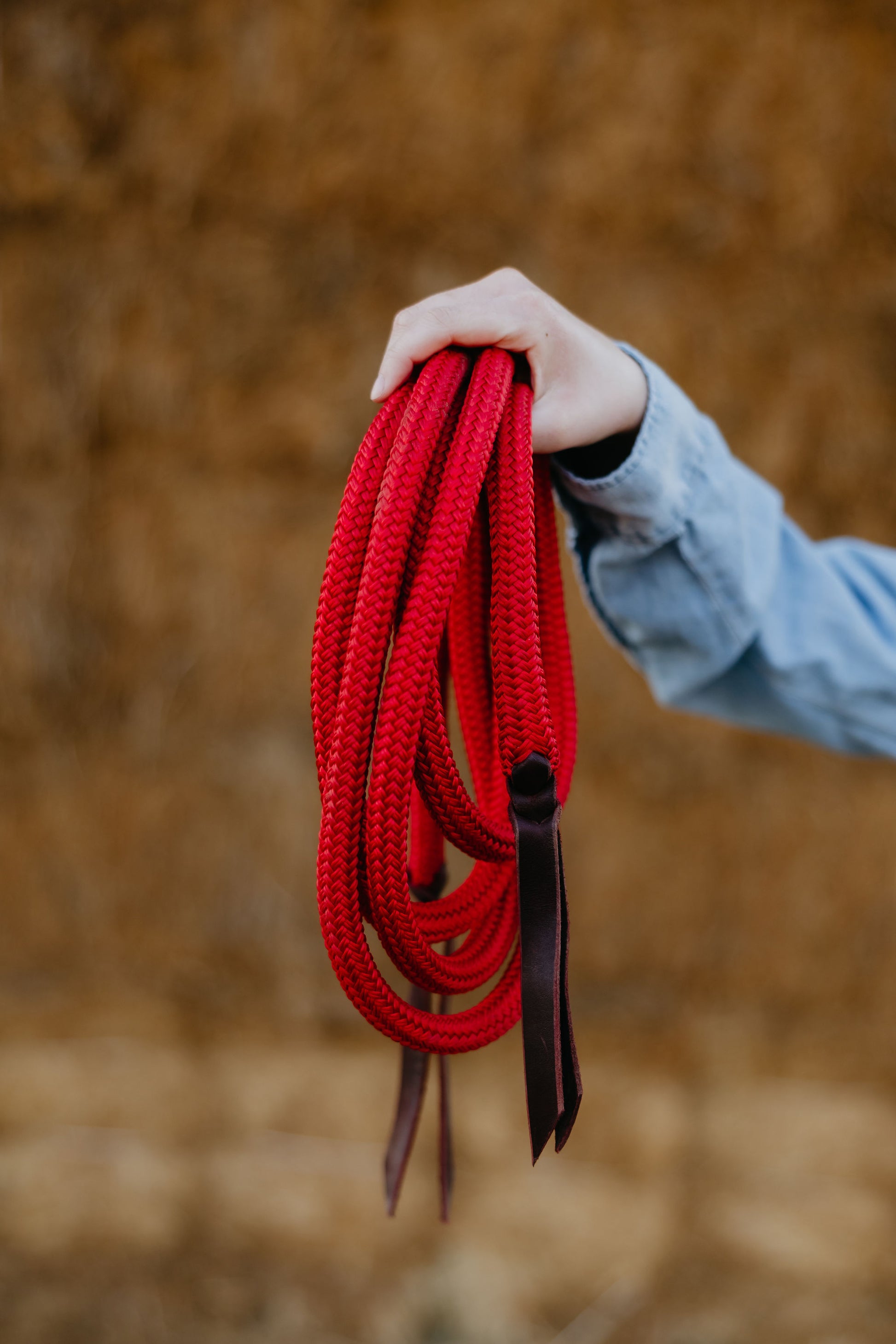 10 Ft Loop Reins, detail 1