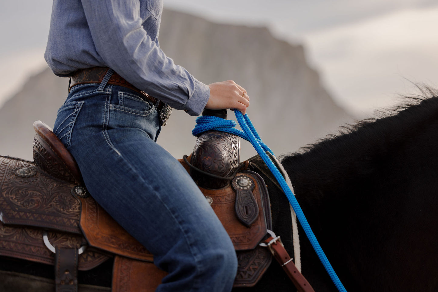22 Ft Mecate Reins, detail 8