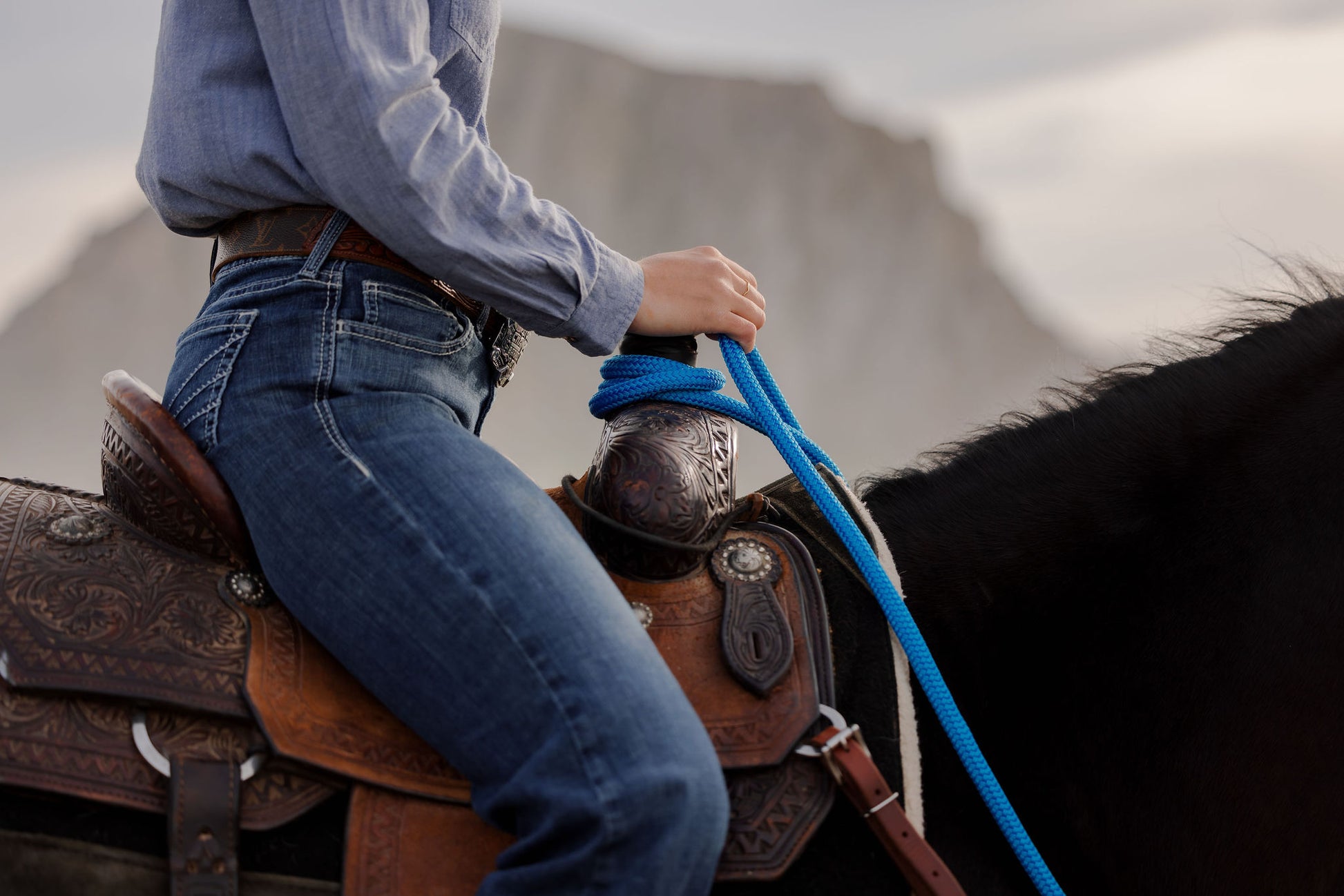 22 Ft Mecate Reins, detail 8