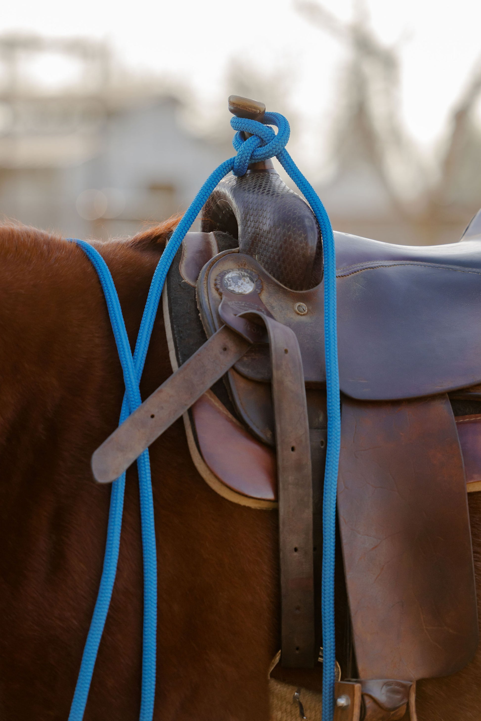 Complete Rig, detail 12