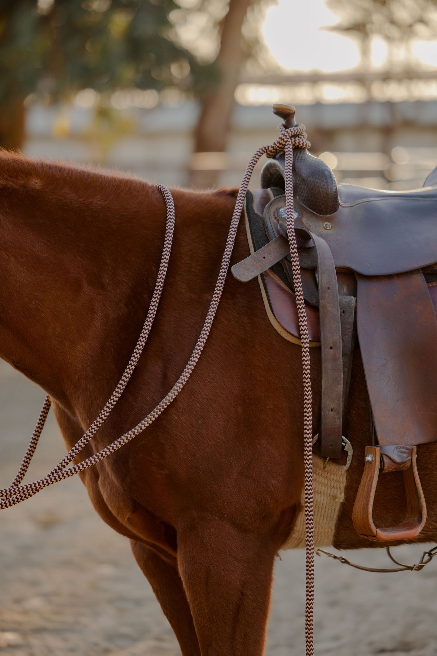 22 Ft Mecate Reins, detail 9