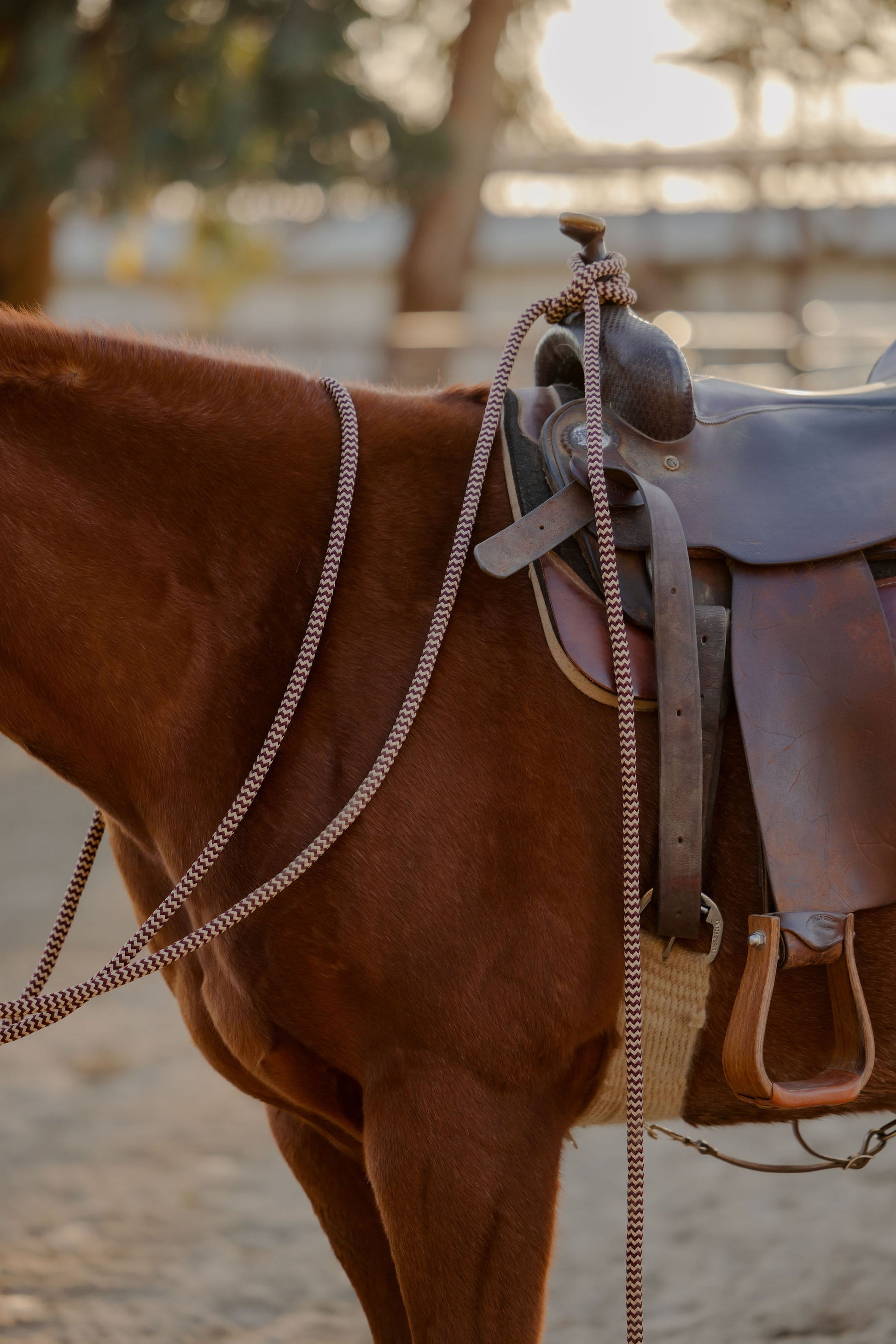 22 Ft Mecate Reins, detail 9