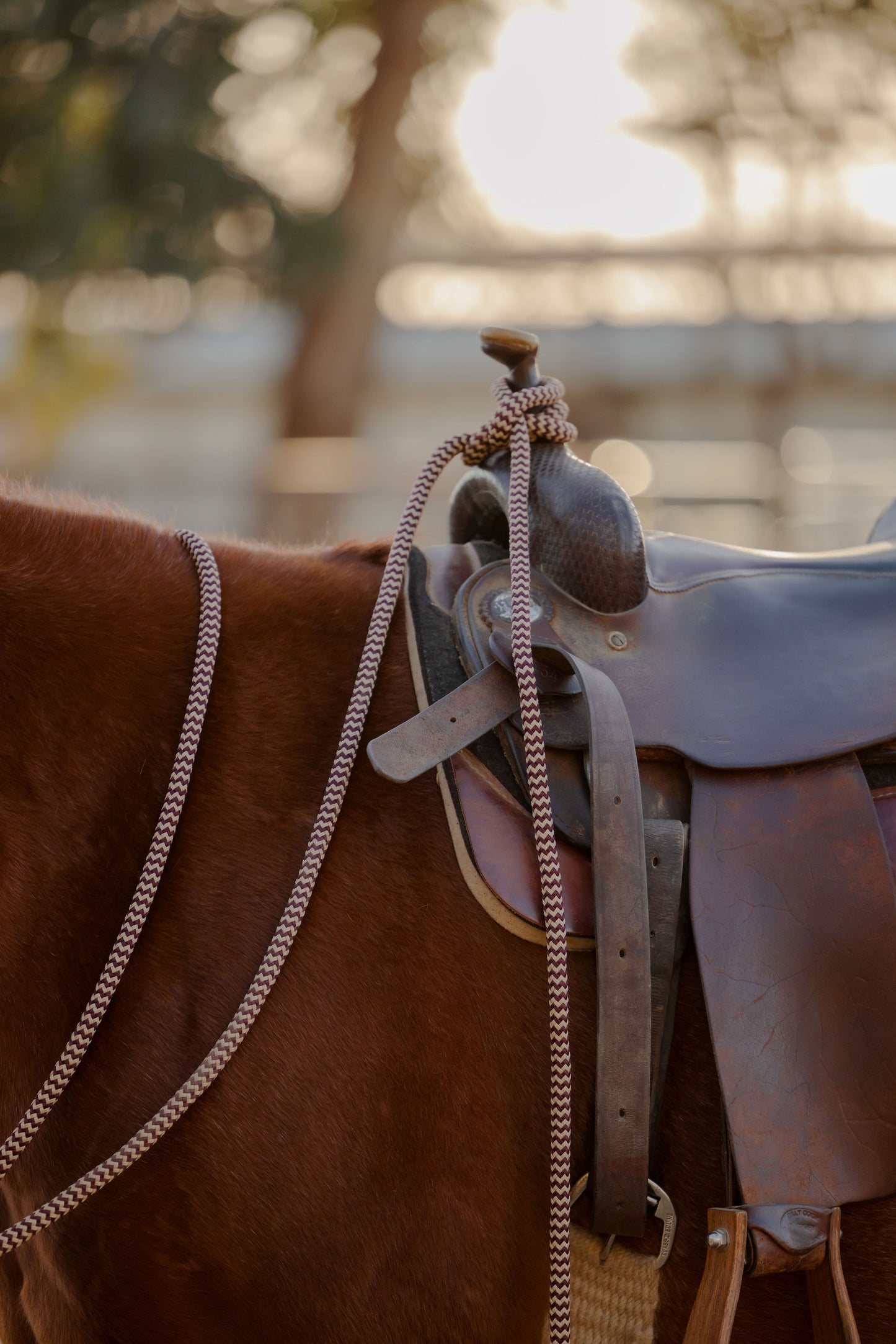 22 Ft Mecate Reins, detail 10