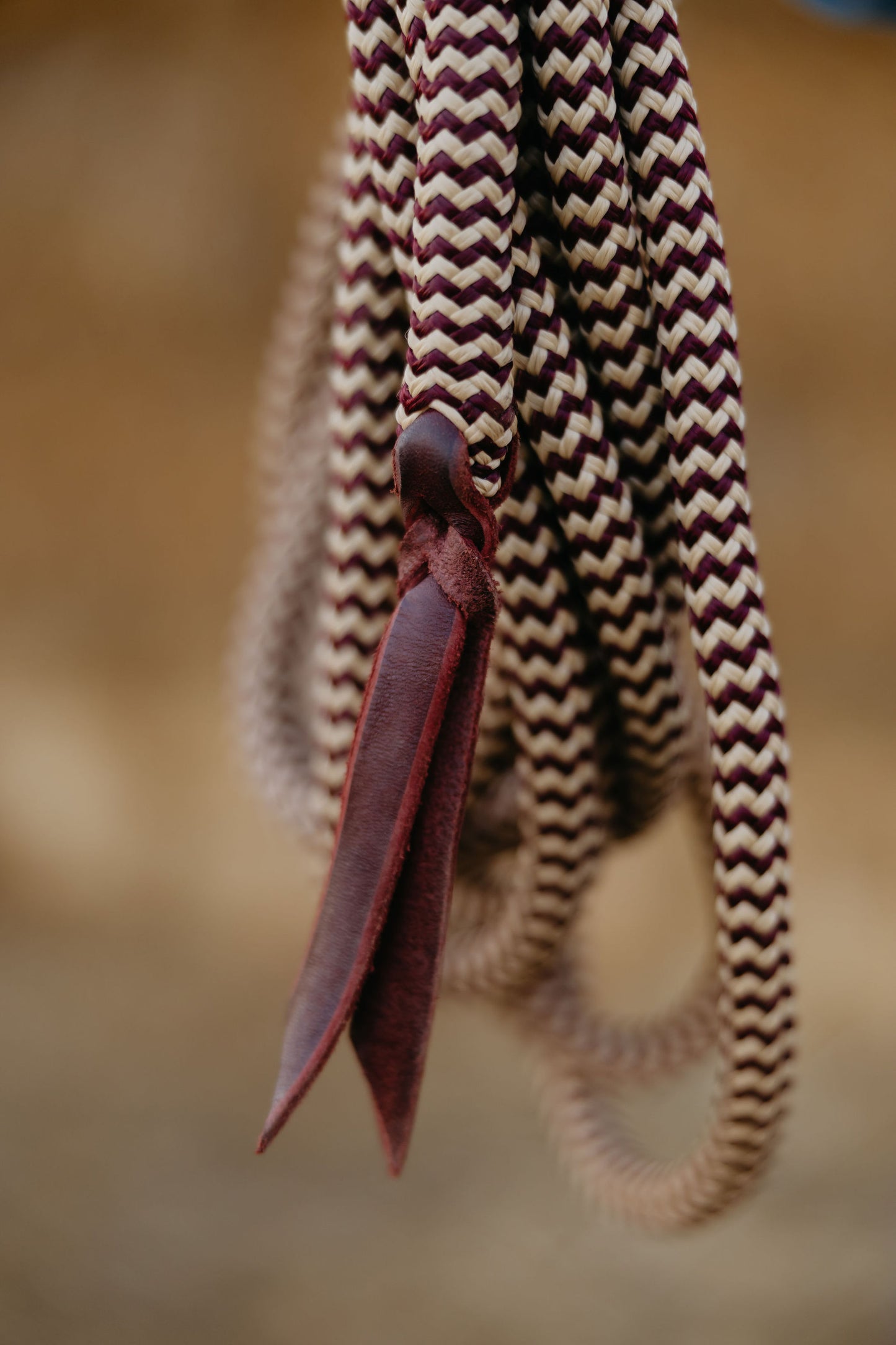 22 Ft Mecate Reins, detail 12
