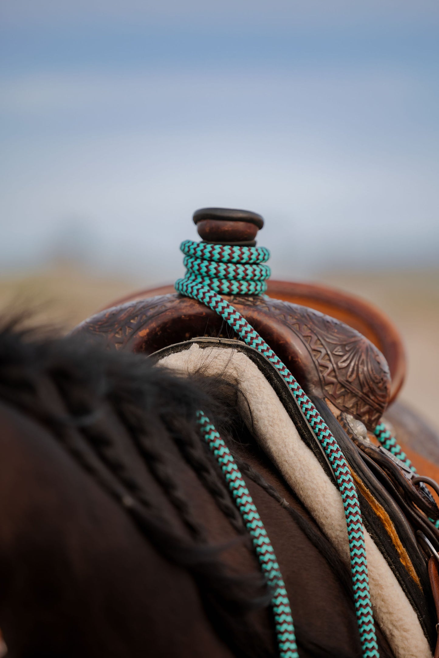 22 Ft Mecate Reins, detail 18