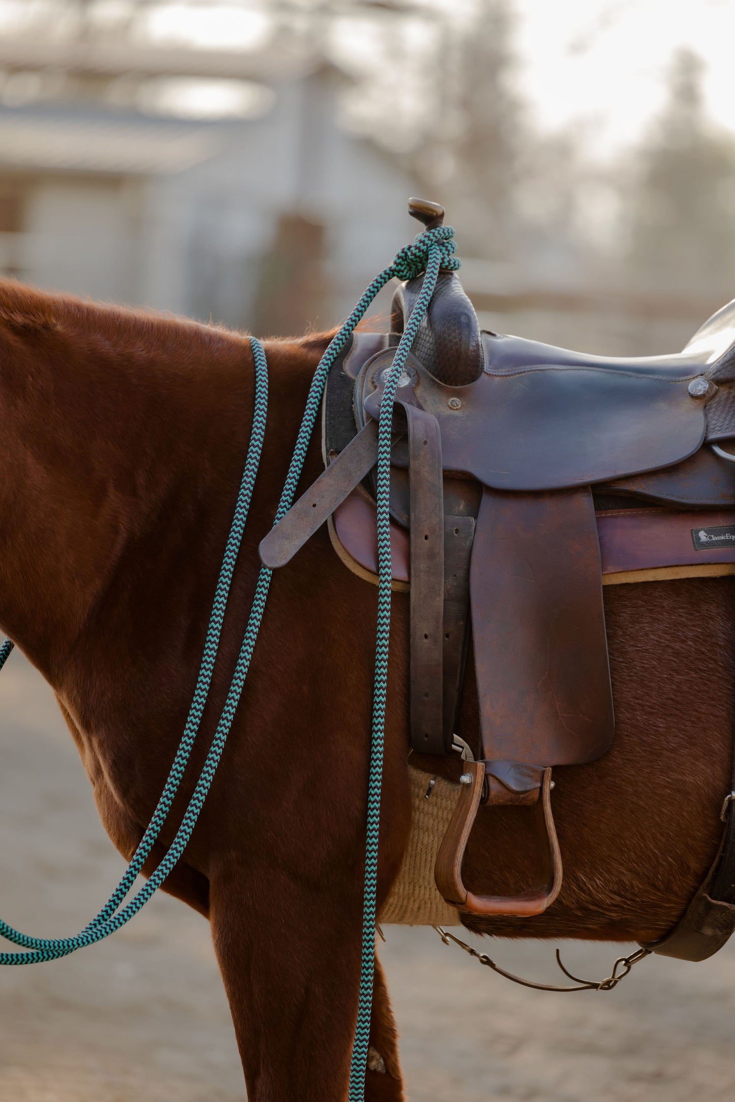 22 Ft Mecate Reins, detail 16