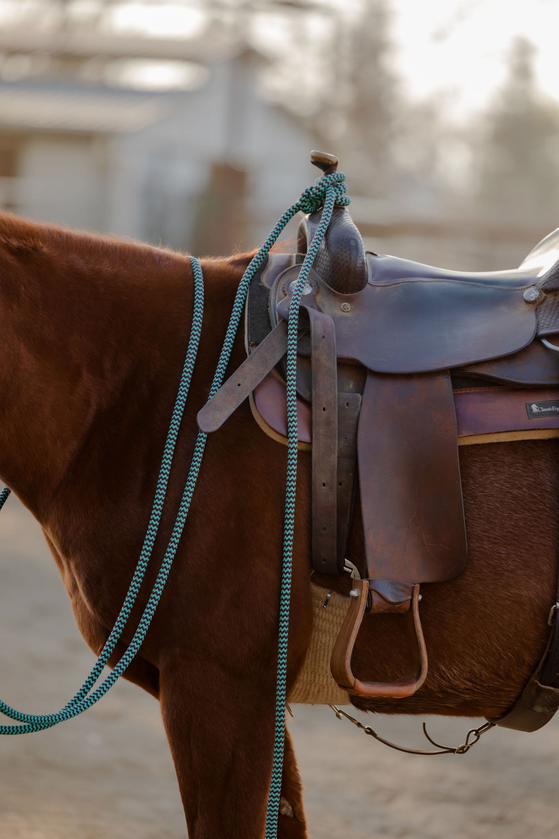 22 Ft Mecate Reins, detail 16