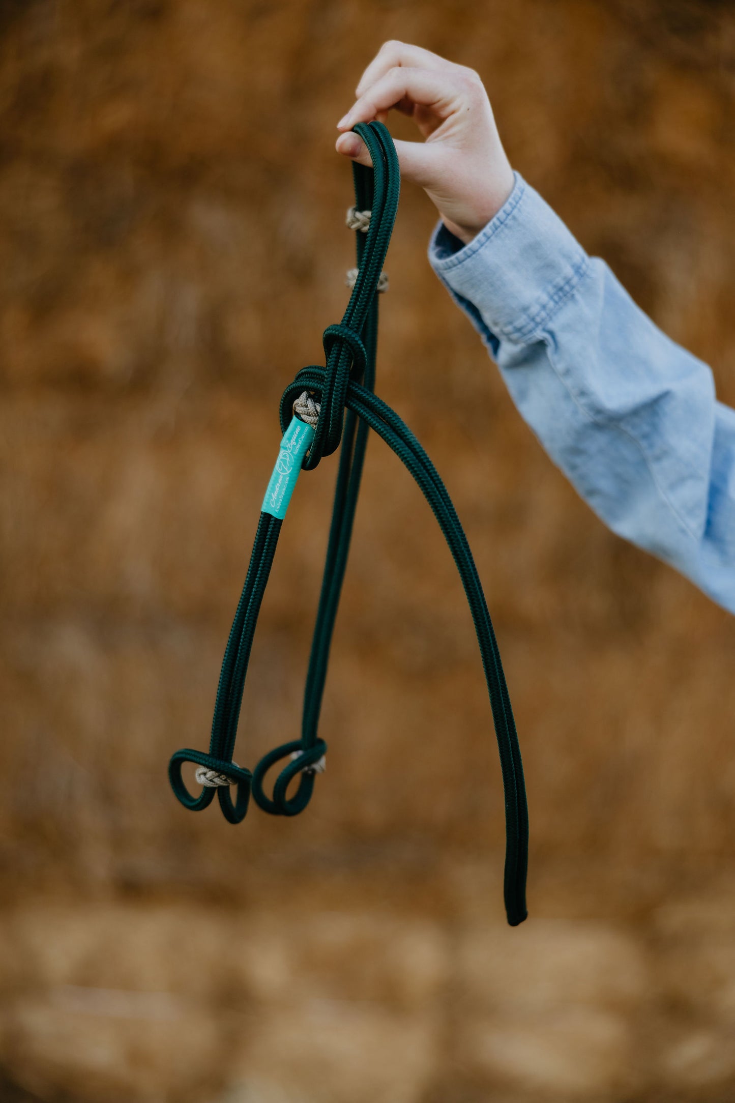 Rope Headstall, detail 4