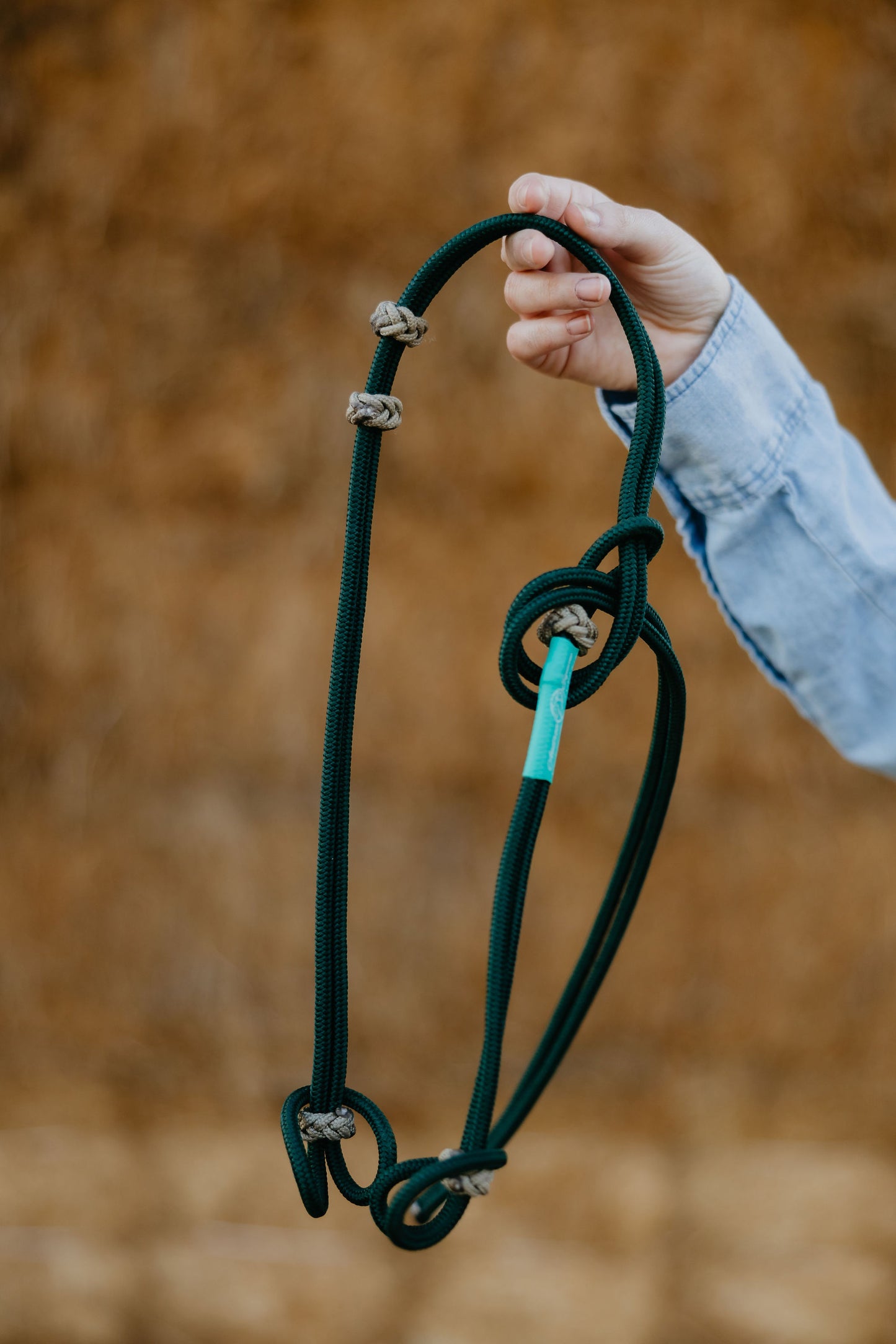 Rope Headstall, detail 3