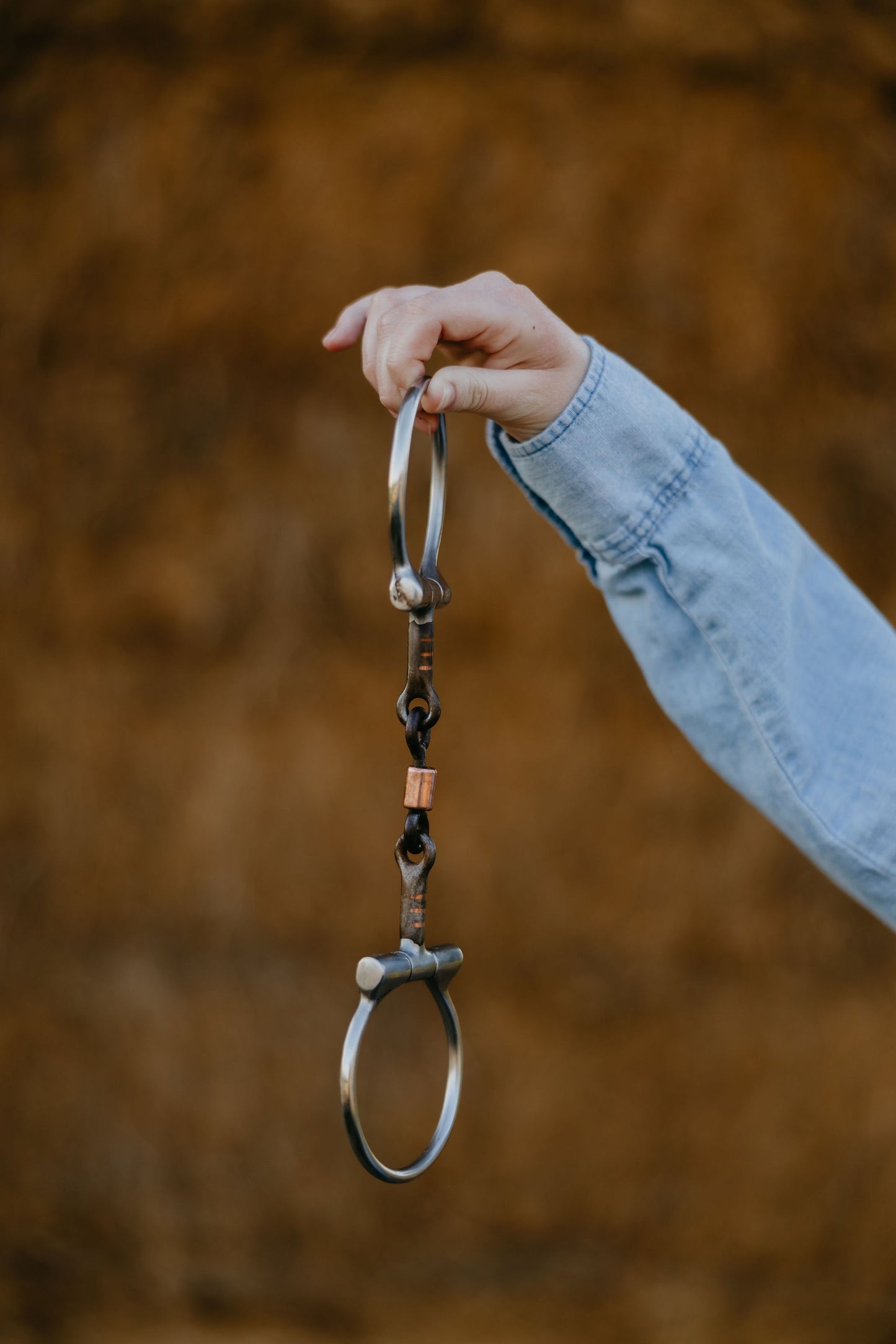 Dogbone Dee Snaffle, detail 1