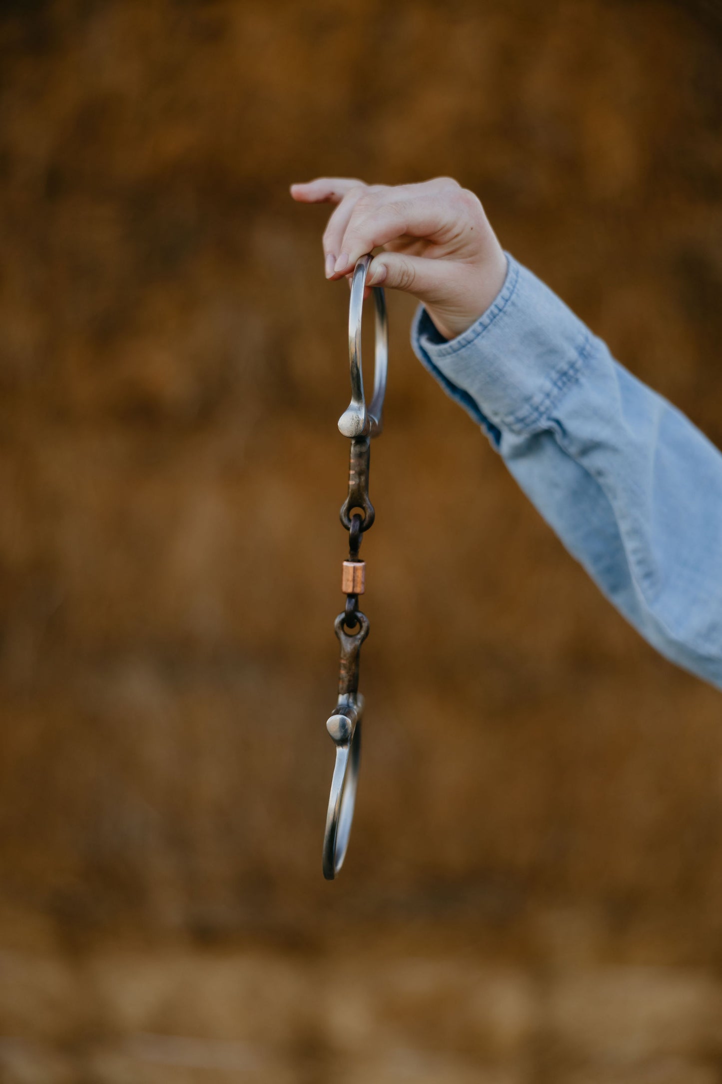 Dogbone Dee Snaffle, detail 2