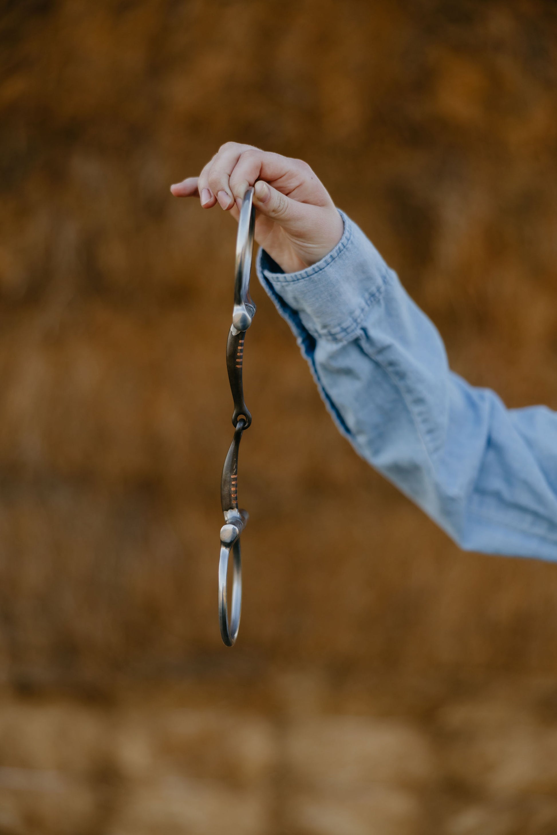 Smooth Dee Snaffle, detail 1