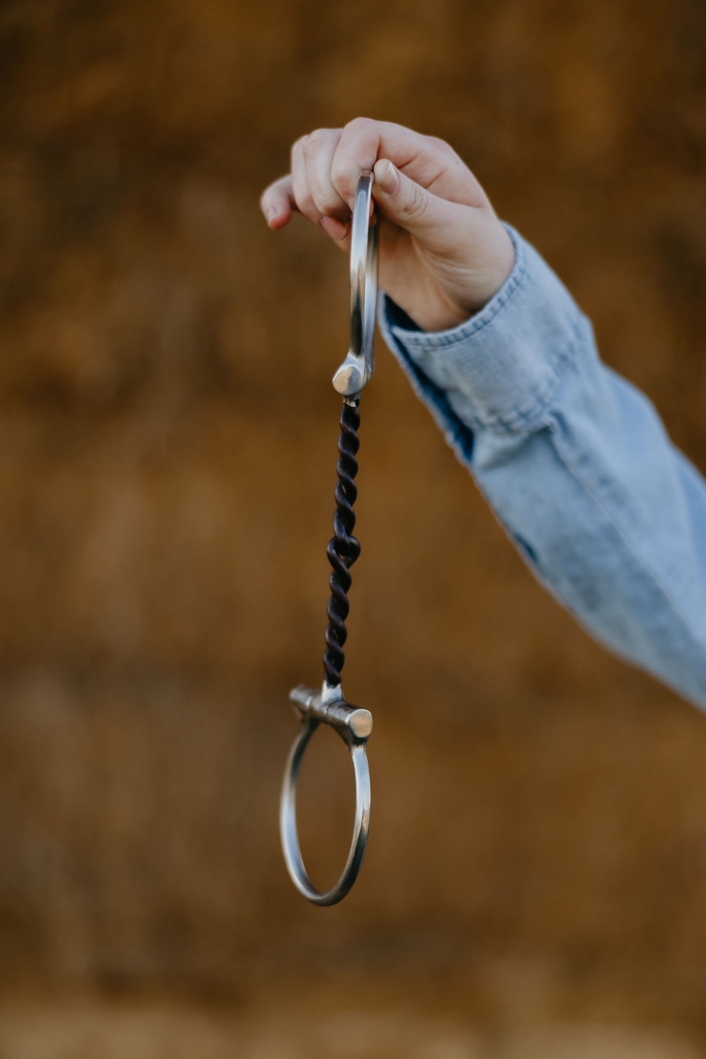 Twisted Dee Snaffle, detail 1