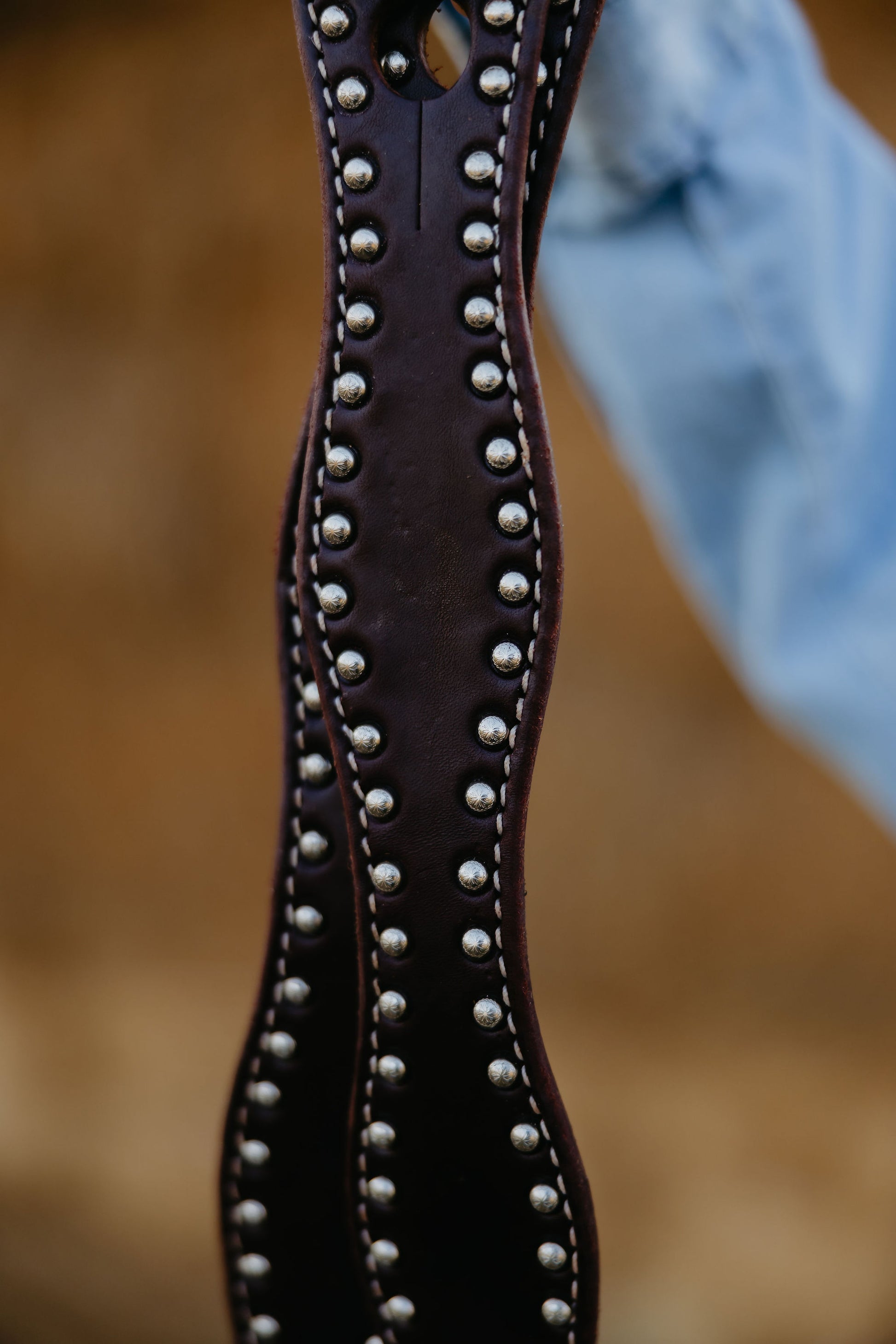 Complete Rig, detail 4